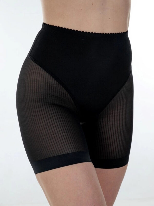 368 Eurobra Shaping Panties With Medium Stomach Compression